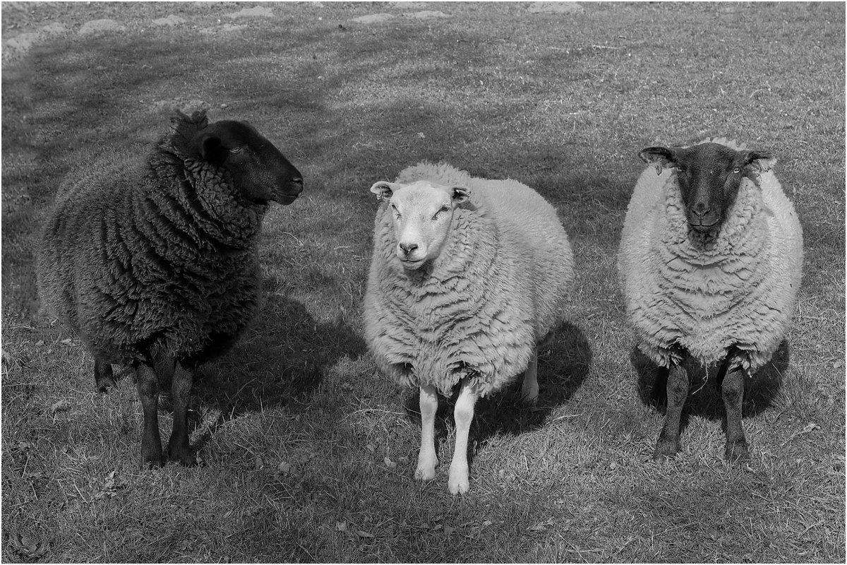 A + B = C - Harvey Perkins